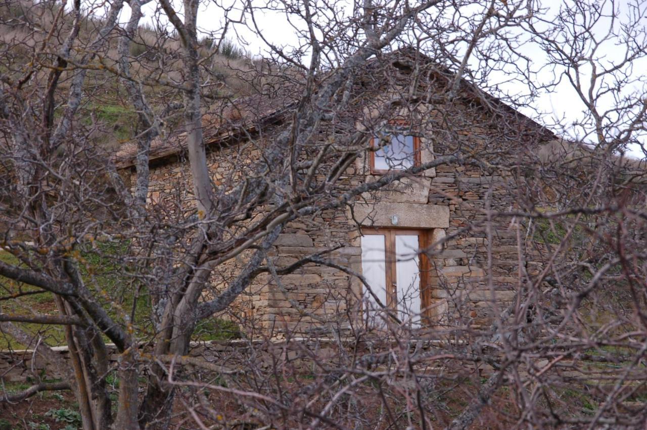 Quinta Da Alagoa Villa Santa Maria de Émeres Exterior foto