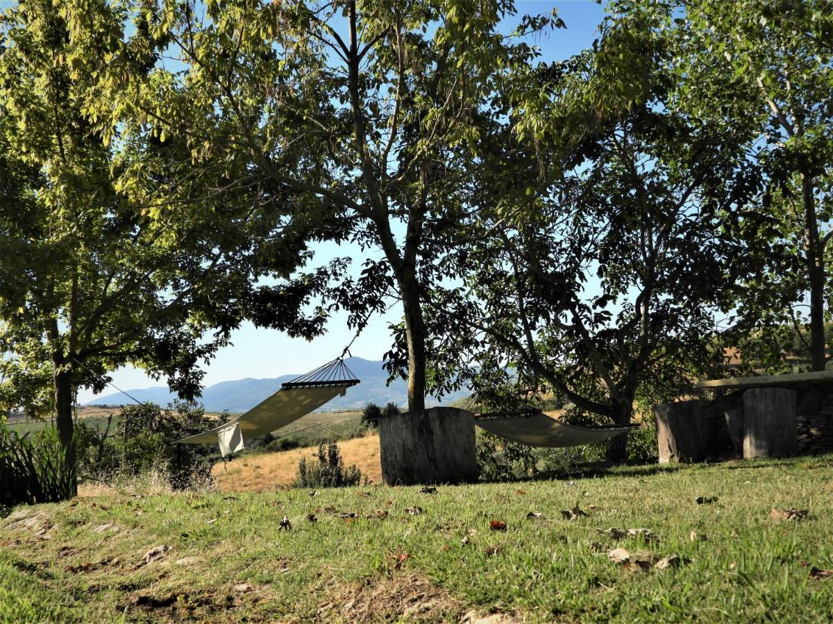 Quinta Da Alagoa Villa Santa Maria de Émeres Exterior foto