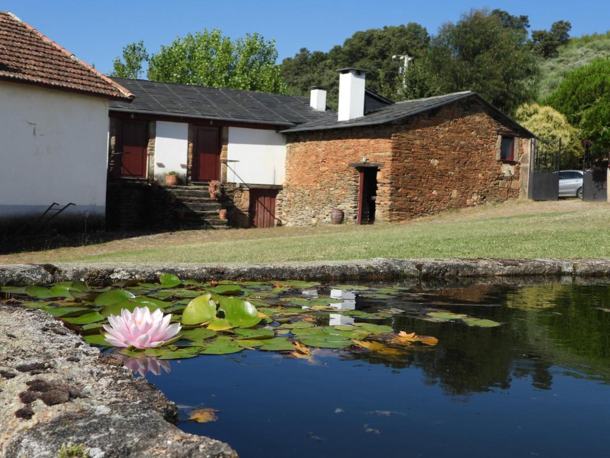 Quinta Da Alagoa Villa Santa Maria de Émeres Exterior foto