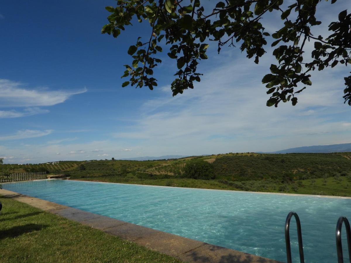 Quinta Da Alagoa Villa Santa Maria de Émeres Exterior foto