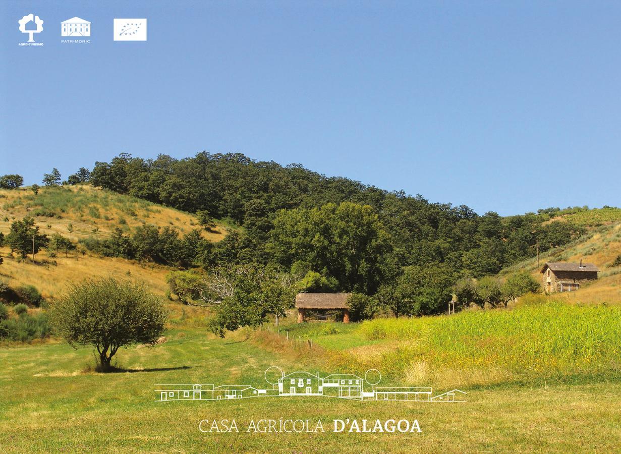 Quinta Da Alagoa Villa Santa Maria de Émeres Exterior foto