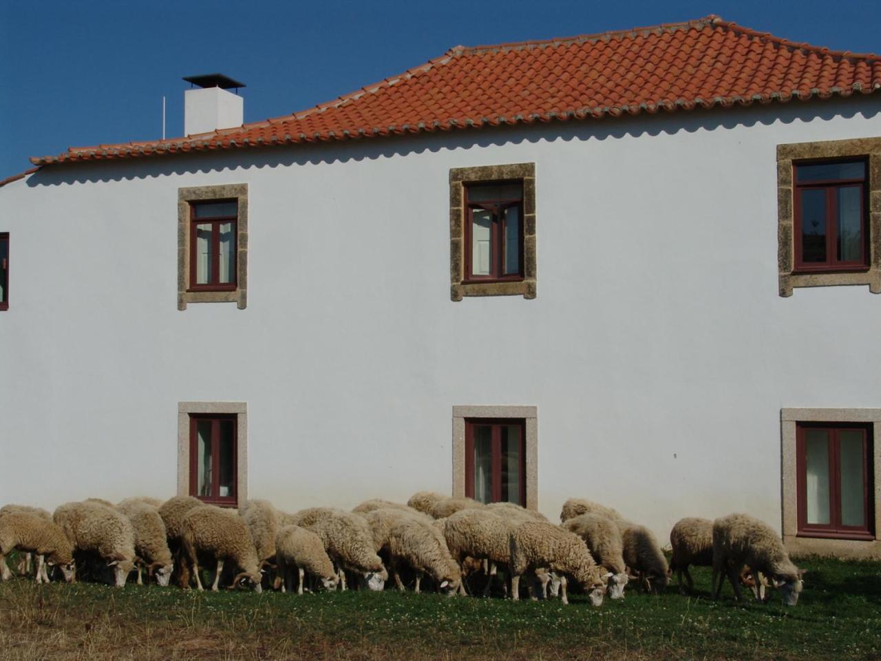 Quinta Da Alagoa Villa Santa Maria de Émeres Exterior foto